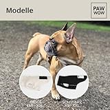 PAW WOW MIKA Hundejacke | Hundemantel Teddy-Fleece | Hunde-Weste mit Bauchschutz für kühle Temperaturen (Beige, L)