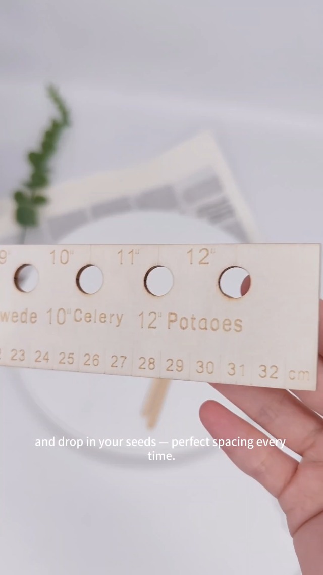 Regla y dibble de madera para jardinería miniatura 7