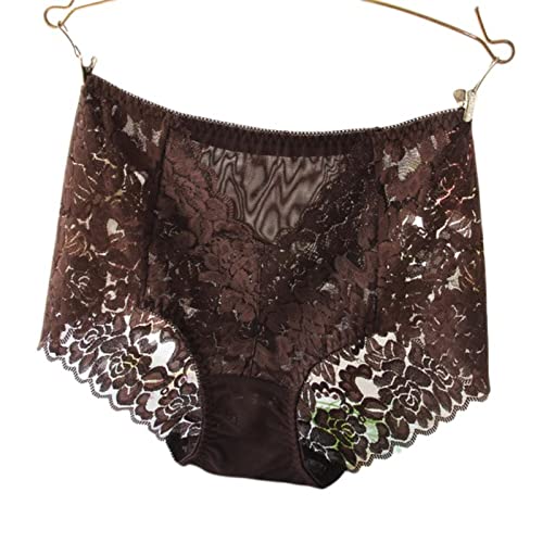 Briefs full coverage en soie et dentelle de prestige culottes auburn haut de gamme