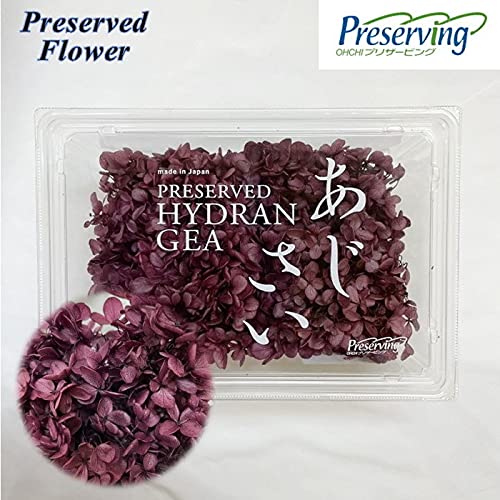 }ւŔ n_IvU[uht[ u2֕ \tgs~bhAWTC @CIbgvvU AWTC z ԍ n[oE  킢 v[g 蕨 II`mEG \tgs~bhAWTCEwbh