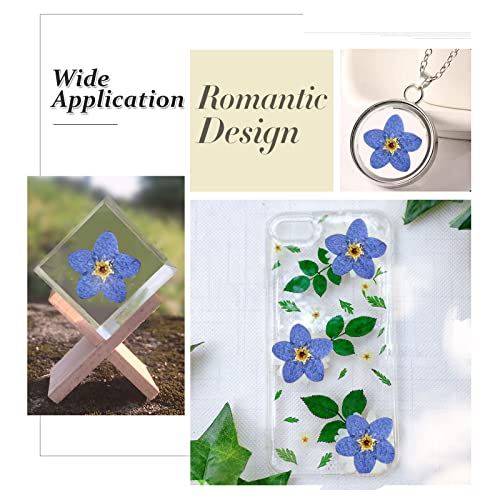 Flores secas prensadas 'Forget Me Not' 60 piezas azul miniatura 4
