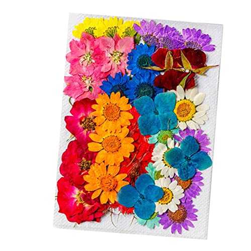 Flores secas surtidas para decoración DIY, 36 piezas miniatura 1
