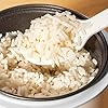 Judge Small Electric Rice Cooker - Fully Automatic, 300ml For 2 Servings, Removable Non-Stick Rice Pot, Measuring Cup & Ladle, PFOA Free, Keep Warm Function