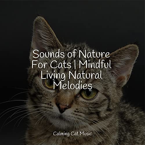 Écouter Sounds of Nature For Cats | Mindful Living Natural Melodies par ...