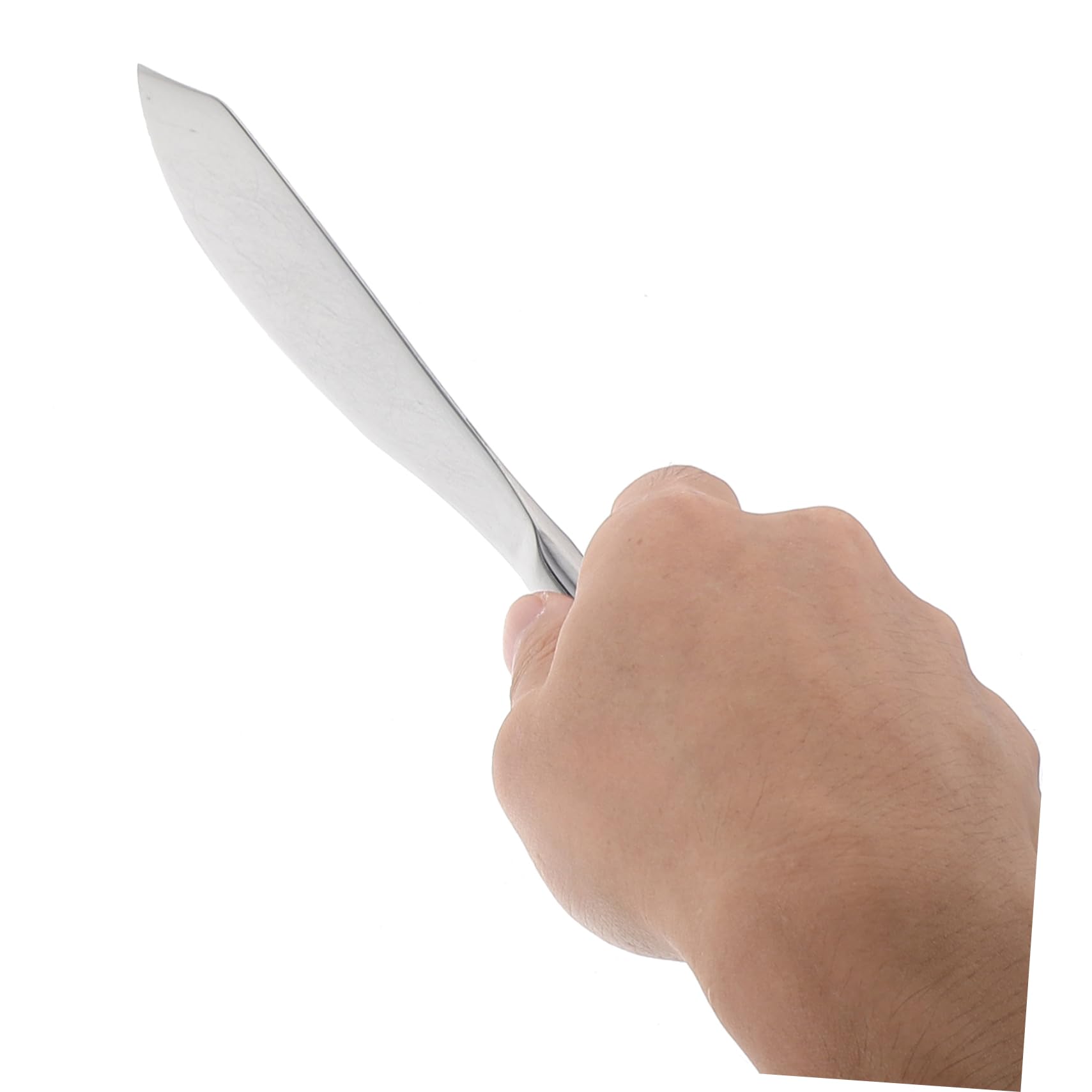 SOLUSTRE 1 Set Classic Stainless Steel Cake Server Set Serving Utensils for Weddings Birthdays Anniversaries Elegant Design Lightweight Easy to Use for Formal Events