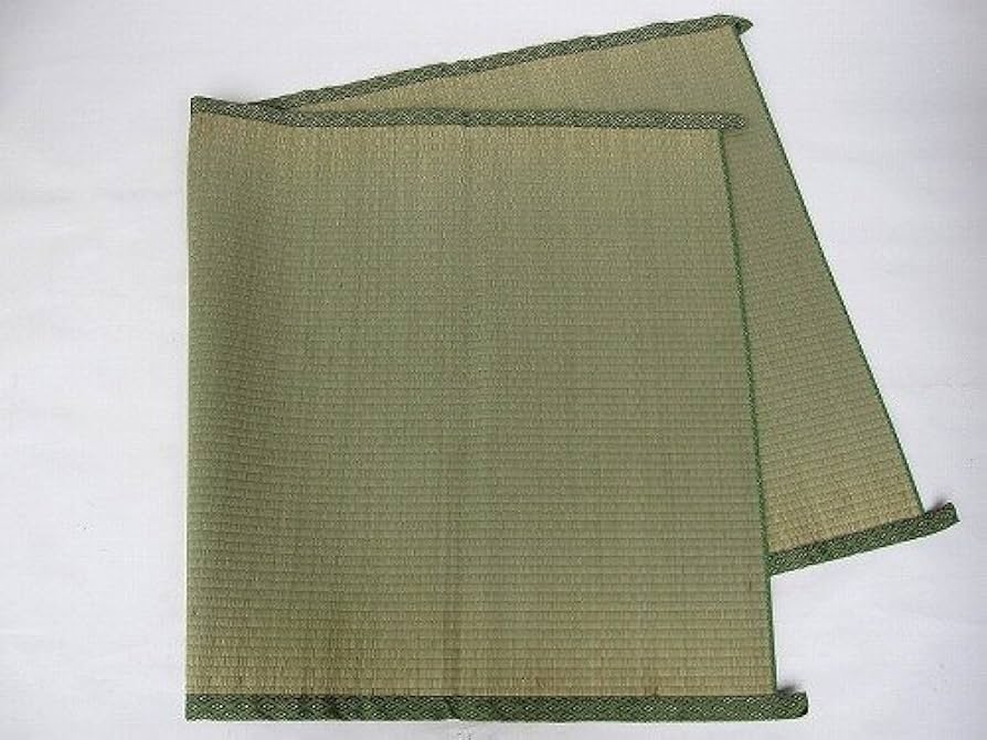 Amazon|ござ 上敷き 井草 い草 ゴザ 1帖 ゴザ 御座 畳カーペット 寝