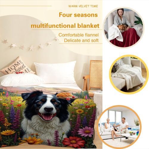 Couverture Polaire 240 x 260 Chien, Couverture Polaire Grande Taille 240x260 cm | Usage Multiple comme Couette d'Appoint, Assure Une Protection Contre Le Froid A7