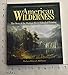 American Wilderness: The Story of the Hudson River School of Painting