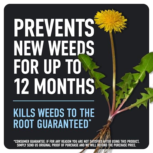 Roundup Dual Action 365 Weed & Grass Killer Plus 12 Month Preventer Refill - image 2