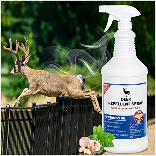 Top 10 Best Rabbit And Deer Repellent Top Picks 2023 Reviews