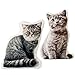 your castle Set di 2 cuscini per gli amanti dei gatti, realistici, a forma di gatto, morbido, 44 x 39 cm e 52 x 50 cm