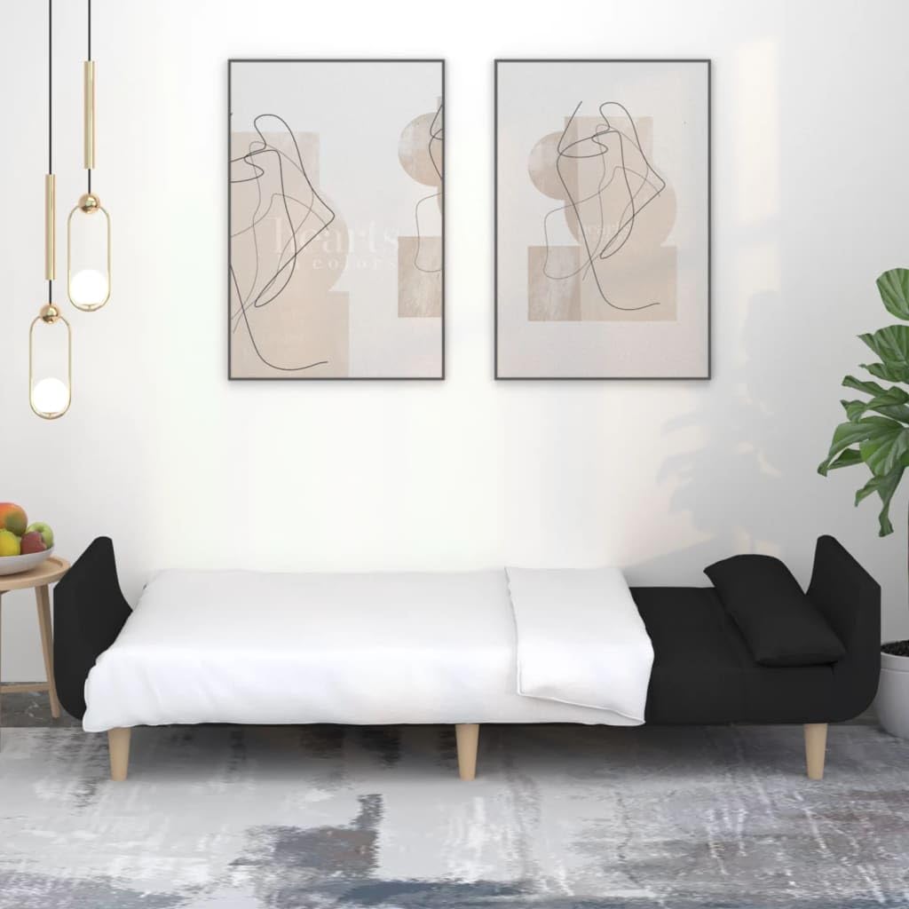 Divano Letto a 2 Posti con 2 Cuscini Nero in Tessuto,Divano da Soggiorno,Divano di Design Moderno,Divano Letto 2 Posti Economico-375871