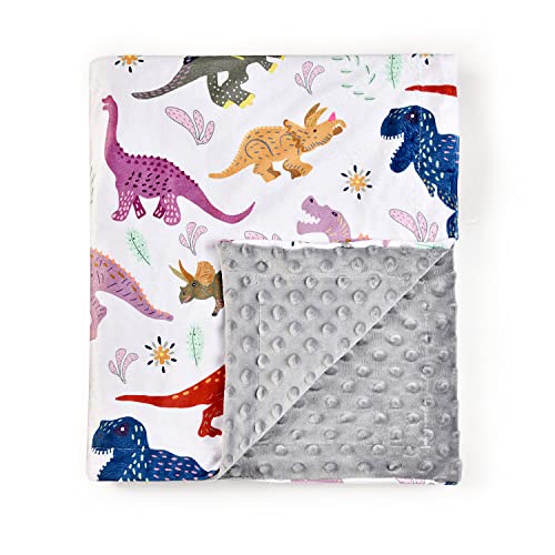 Image of Baby Blanket, Soft Minky Warm Blanket for Boy or Girl, Receiving Blanket with Double Layer Dotted Backing for Newborns Nursery Stroller Toddlers Crib Bedding (30 x 40 Inch) Dinosaur