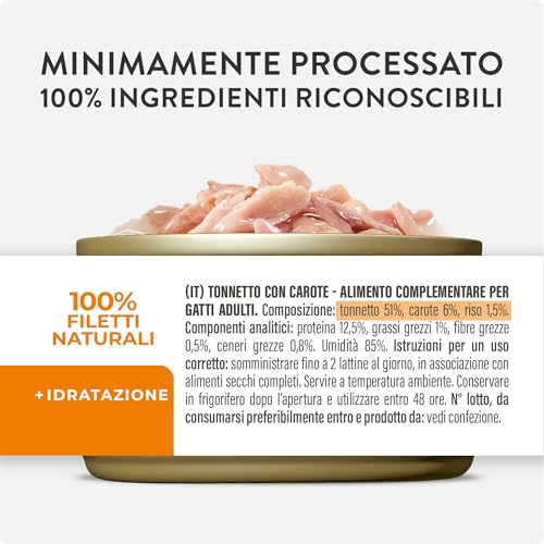 Schesir, Thunfischfilets mit Karotten in Gelee, ergänzendes Nassfutter für Katzen, Originalrezept, 100% natürlich, 12 Dosen à 70 g