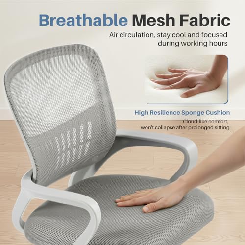 Image of DUMOS Office Desk Chair, Ergonomic Lumbar Support, Home Office | Height Adjustable, Fixed Armrest, Rocking Mode, 360 Swivel, Conference Room, Grey