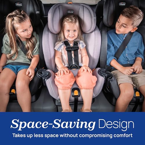 Image of Chicco OneFit LX All-in-One Convertible Booster Car Seat, 5-100 lbs | Lupine color, flame retardant-free ClearTex, GREENGUARD Gold, LeverLock install, slim toddler car seat, ASIP