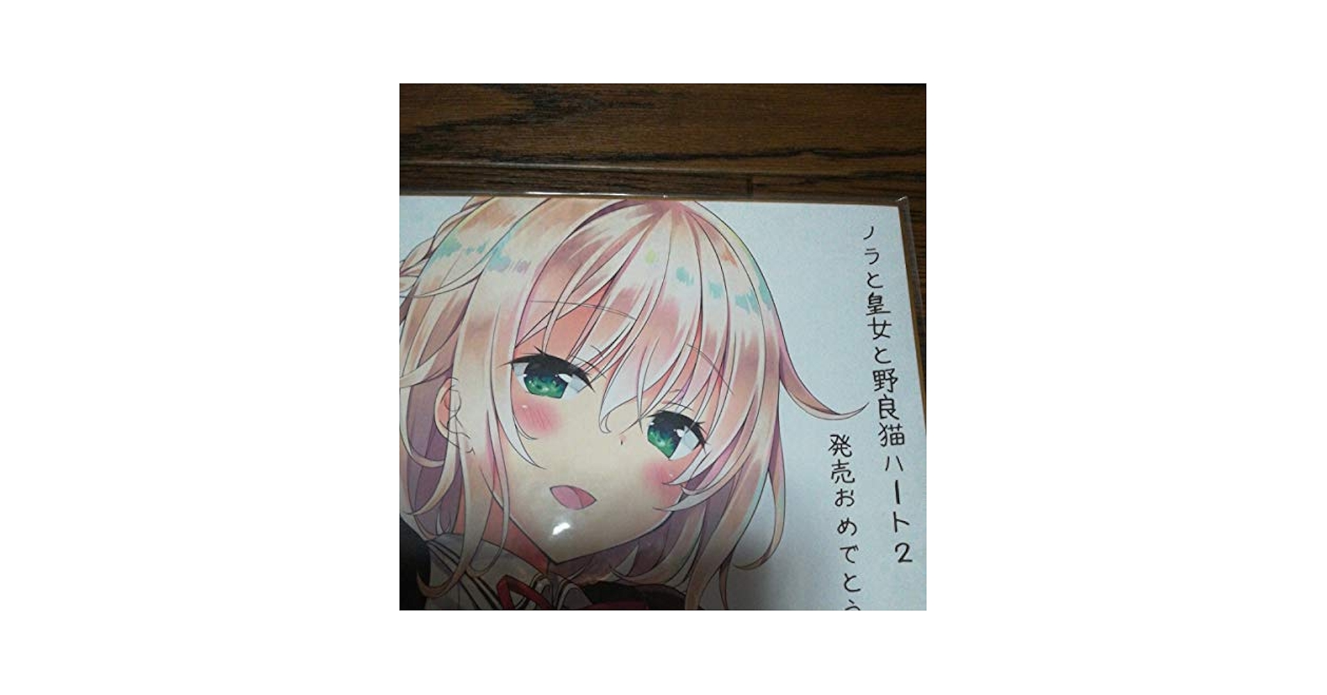 名*し様 ノラと皇女と野良猫ハート 夕莉シャチ クッション TOKYOTOON 待望の「夕莉シャチ」水着フィギュア化決定！ | TVアニメ「ノラ