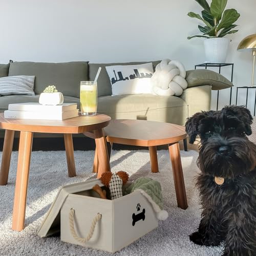 GreenPetopia Hundespielzeugkorb mit Deckel, Hundekorb für Spielzeug, Hundespielzeugkiste mit Baumwollseilgriffen, zusammenklappbare Aufbewahrungsbehälter für Hundespielzeug, Hundeaufbewahrung,