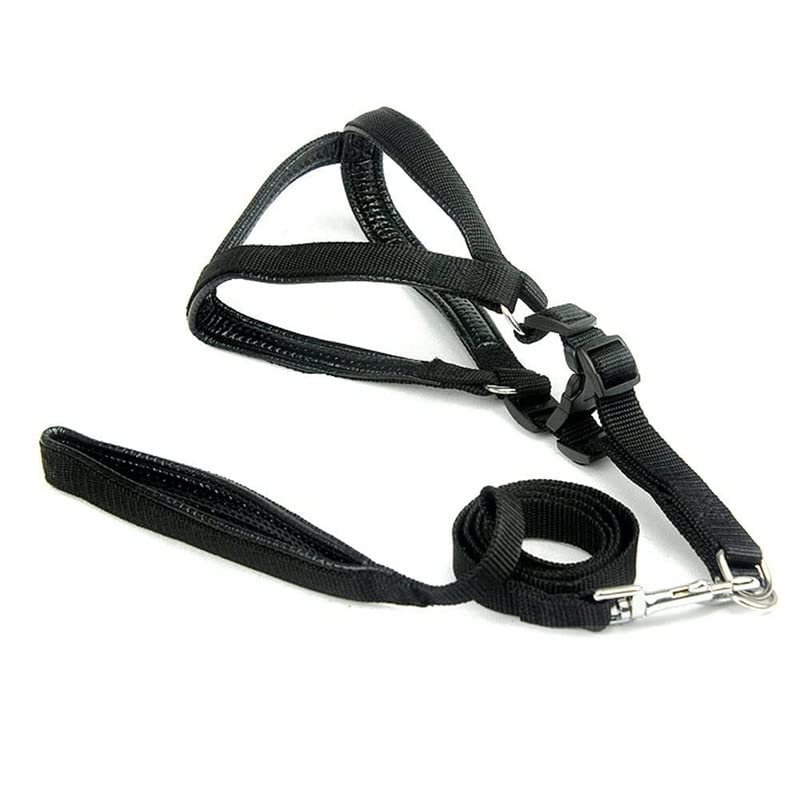 PSK PET MART Nylon Dog Harness with Leash Set 0. 75 inch (Black Color) Small Size (B09TFQNXDZ) Amazon Price History, Amazon Price Tracker