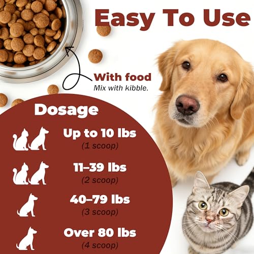 Ringworm Support Powder for Cats and Dogs – Fast Acting Relief of Itch/Redness/Fluff/Plaques – Allergy & Immune Support – L-Lysine, Beta-Glucan, Turmeric 95%, Chelated Zinc & Biotin – 60g Powder - Image 6