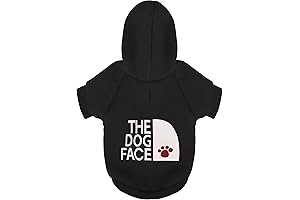 Chihuahua Dog Hoodie: Keep Your Pup Warm and Stylish with a Paw-fect Sweatshirt