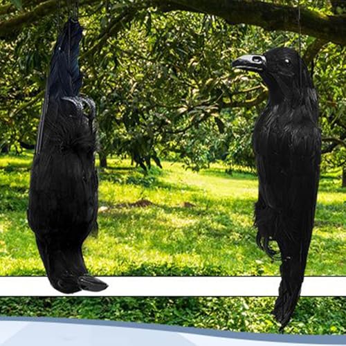 Leurre corbeau pour verger et décoration hantée d'Halloween