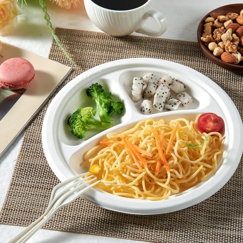 Image of Disposable Plates Bagasse | 10 inch 3-Compartment Round | 10 Pack | Disposable Plates Bagasse | Biodegradable | Sugarcane Paper Plates | Birthday & Party (10 inch, 10)