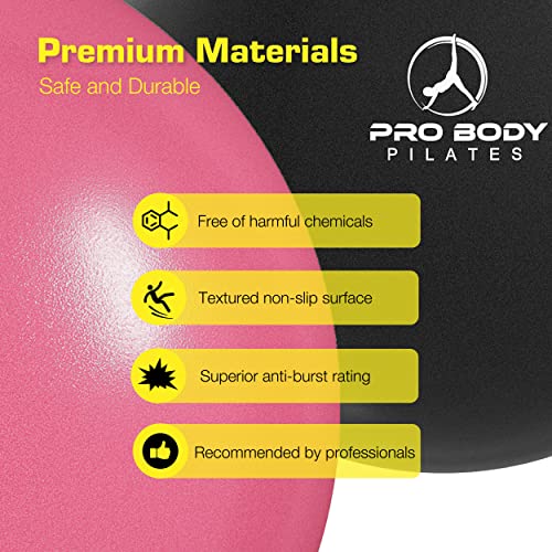 Probody Pilates Ball Small Exercise Ball, 9 Inch Bender Ball, Mini Soft Yoga Ball, Workout Ball For Stability, Barre, Fitness, Ab, Core, Physio And Physical Therapy Ball At Home Gym & Office (Pink) #TOP2