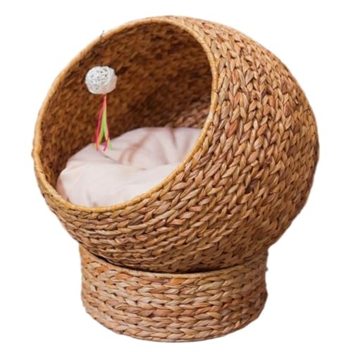 ^ybgpLpnbNłLnEXْʋCybgxbhكxbh킢KĔLnEX (i`J[ioii[tj)