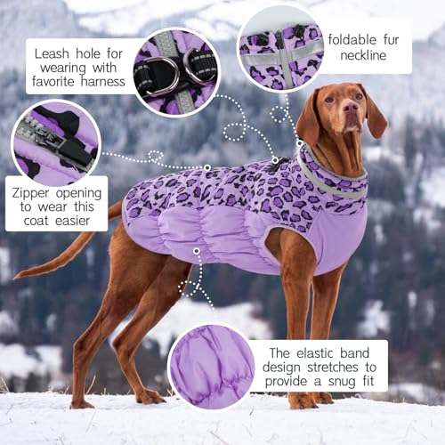 Kuoser Hundemantel Winter für kleine Hunde Wasserdicht & Winddicht, Warme Hundejacke mit Fleecefutter Reflektoren Reißverschluss, Pelzkragen & D-Ring – Outdoor Hundebekleidung, S