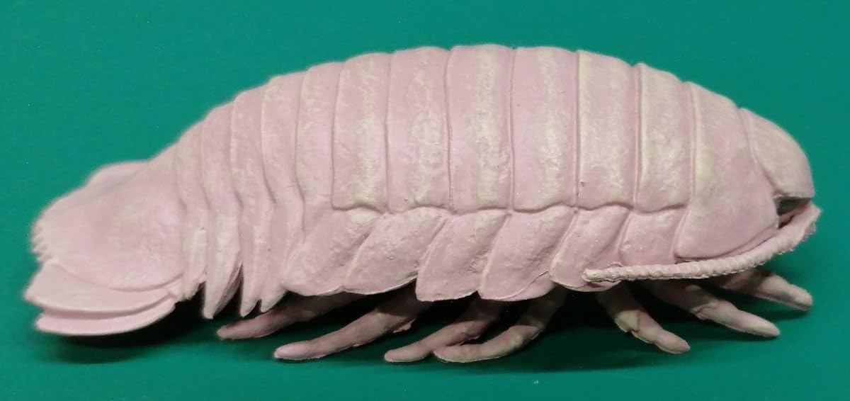 Amazon | ダイオウグソクムシ 不思議生物大百科 深淵の居住者