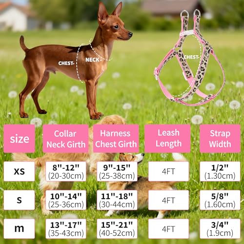 Mile High Life Leopard Dog Harness Collar Leash Set, Adjustable No Pull Dog Halter Harness for Small Breed Dogs, Easy Control for Training Walking (Pink, XS Chest 9"-15", Neck 8"-12") - Image 4