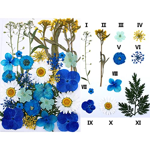 30 piezas flores secas prensadas para manualidades miniatura 2