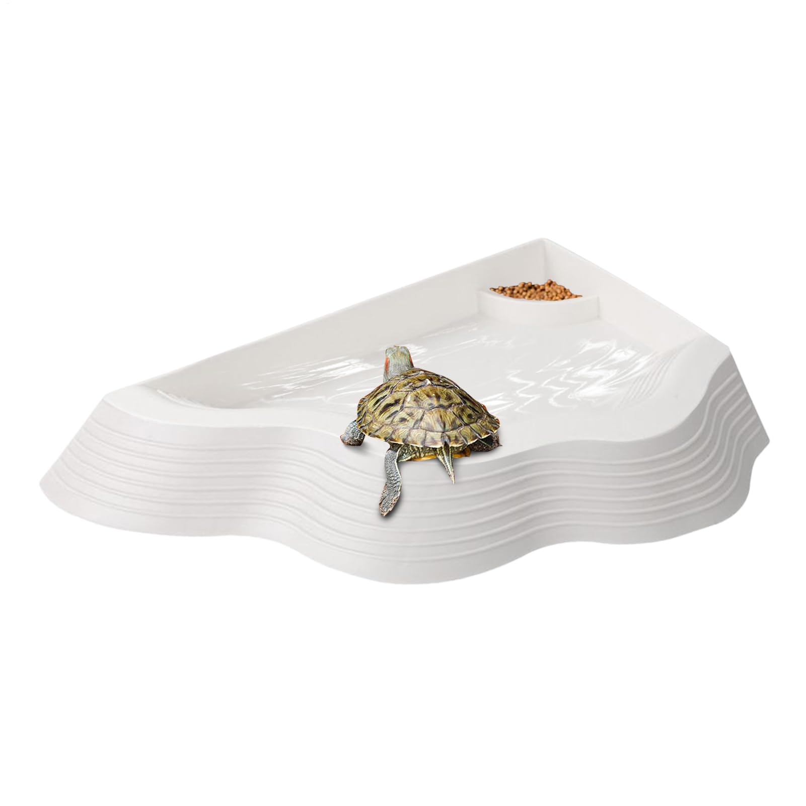Bac de anti-dérapant pour tortue pour éviter les glissades de reptile