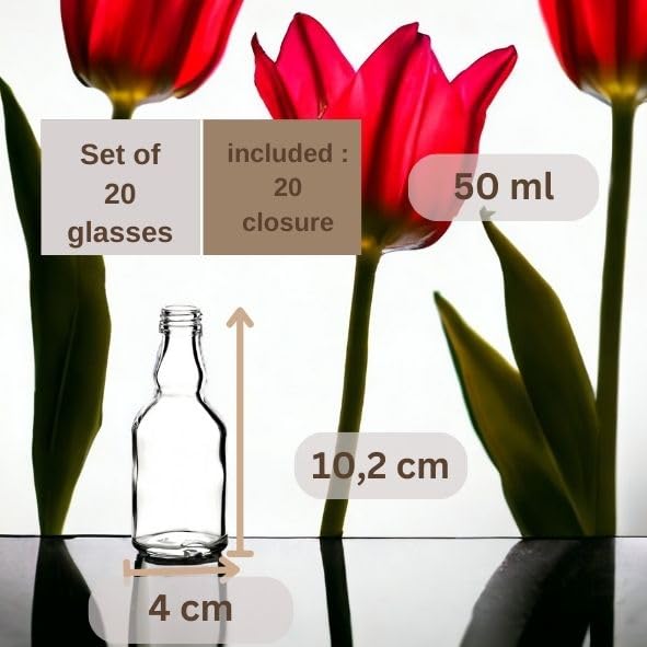 Gouveo 24 Botellas Vacías De 250 Ml Con Tapón De Corcho, Botellas De