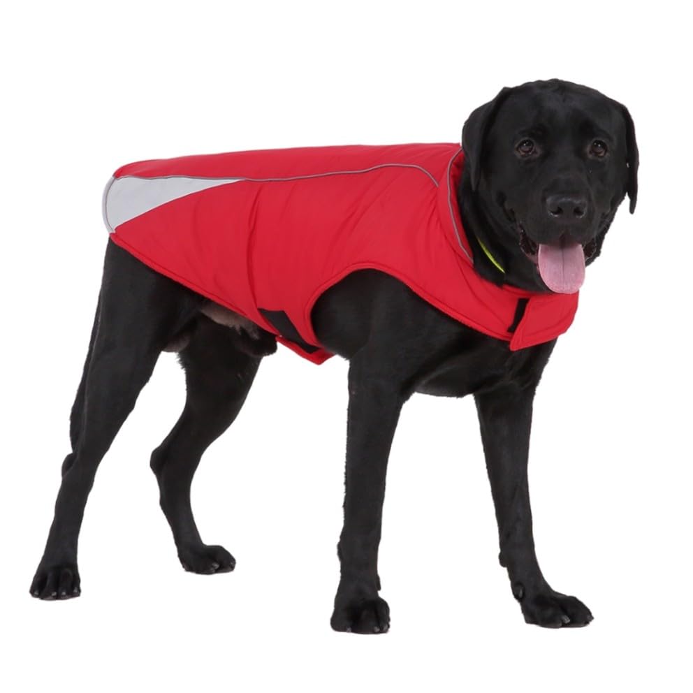 Manteaux pour chiens teckel protégeant le dos des animaux