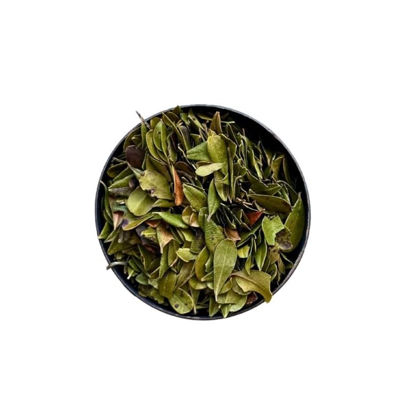 Uva ursi tisane busserole stimule le confort urinaire et l'élimination aquatique