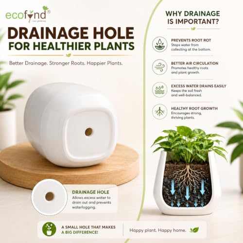 Image of ecofynd 3.5 Inch Ceramic Plant Pots with Drainage Hole, Modern Decorative Clay Flower Pots for Indoor Plants, Office, Living Room, Decorative Tabletop Planters for Home, Bedroom & Shelf (CPOT048-WHT)