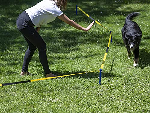 NATIV Longier-Set für Hunde, Radius 3-3,5m, Hundetraining, Longieren mit Hund