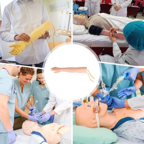 Modèle d'anatomie phlébotomie ponction veineuse injection IV