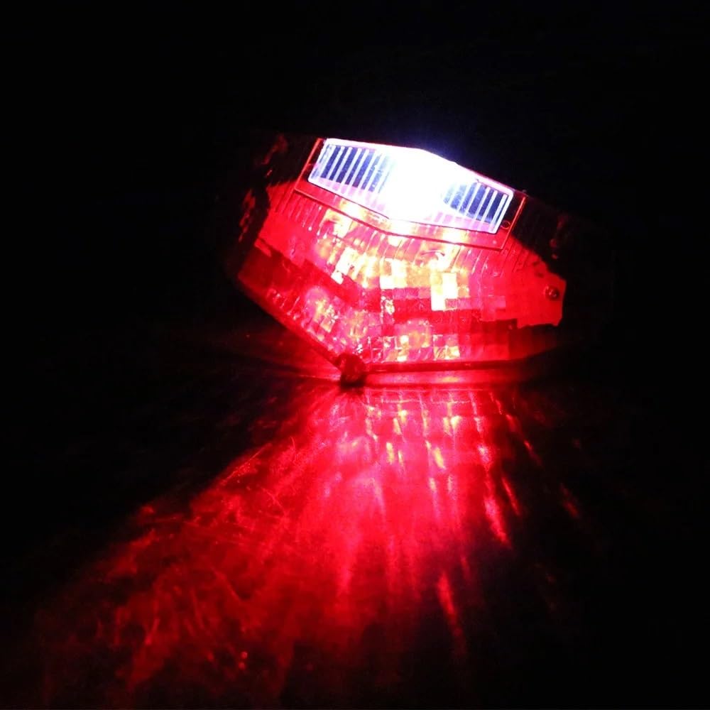 Faro Posteriore Stop Running 11 LED Fanale posteriore per motocicletta Luce di stop universale Indicatore direzione per Fanali posteriori Accessori per moto