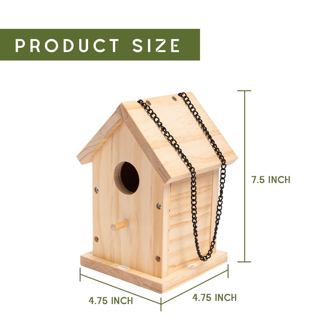 https://m.media-amazon.com/images/I/51ig+4ytvyL.jpg
