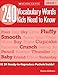 240 Vocabulary Words Kids Need to Know: Grade 1: 24 Ready-to-Reproduce Packets Inside!