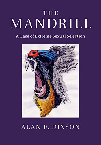 The Mandrill: A Case of Extreme Sexual Selection (English Edition)