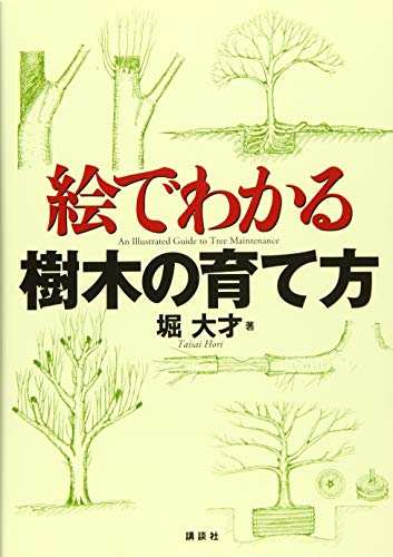 【中古】 樹木診断調査法/講談社/堀大才 樹木診断調査法 (KS自然科学書ピ-ス) | 堀 大才, 阿部 恭久