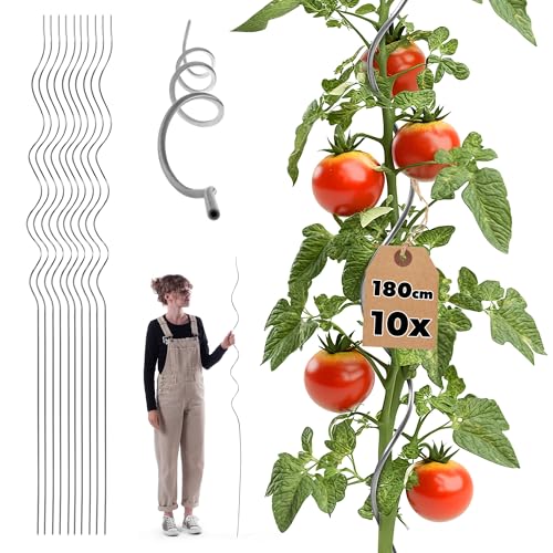 KADAX 10er Set Tomatenspiralstäbe 180 cm x 6 mm Tomatenstäbe aus Aluminium Tomaten Rankhilfe Tomatenspirale Spiralstab Tomatenstangen Pflanzstäbe