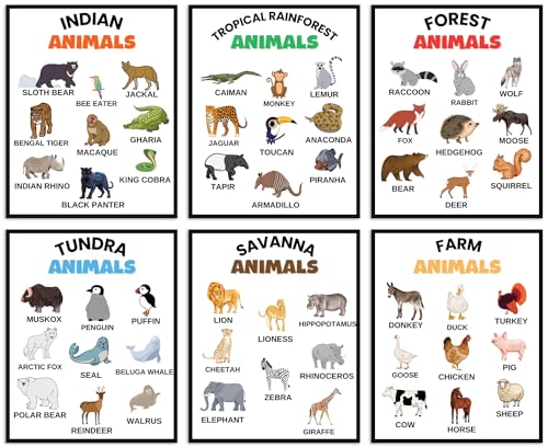 Affiches éducatives lot de 6 posters muraux non encadrés 20x25 cm pour l'école à la maison