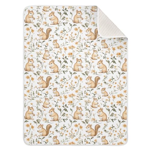 Image of Baby Blankets for Boys Girls Soft Crib Receiving Blanket for Infant Toddler 30X40in Sweet Squirrel Animal White