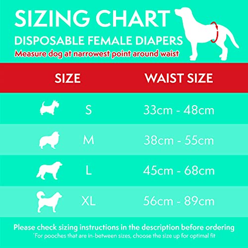Couches Jetables pour Chiens Simple Solution Taille Moyenne à Haute Capacité d'Absorption - 14