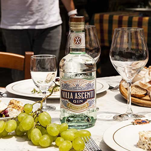 Gin Villa Ascenti 700ml